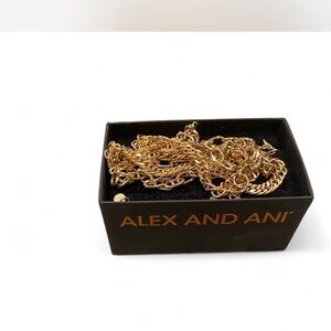 Alex and Ani 30 inch Gold plated waist jewelry